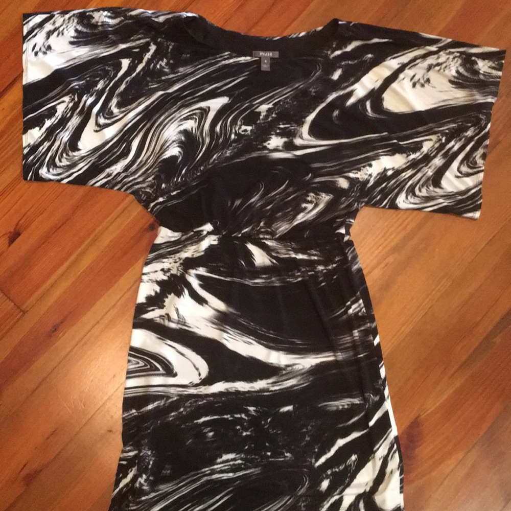 Muse Black and White Dress